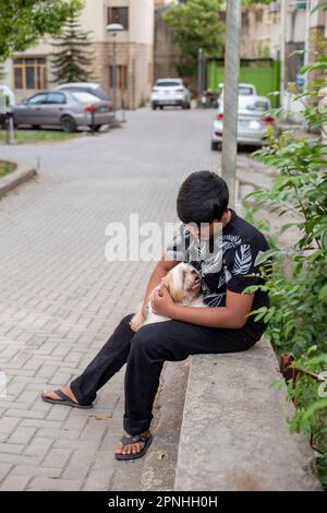 Shih Tzu Hund sitzt auf der Treppe der Stadt. Ein Hund in der Stadt. Hund in städtischer Landschaft Stockfoto