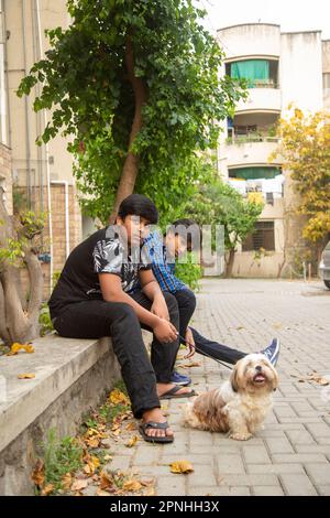 Shih Tzu Hund sitzt auf der Treppe der Stadt. Ein Hund in der Stadt. Hund in städtischer Landschaft Stockfoto