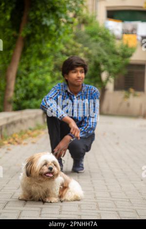 Shih Tzu Hund sitzt auf der Treppe der Stadt. Ein Hund in der Stadt. Hund in städtischer Landschaft Stockfoto