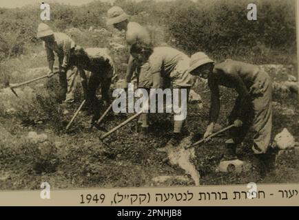 Räumung der Felder für landwirtschaftliche Arbeiten Yehi'am (Yehiam יְחִיעָם) ist ein Kibbuz im Norden Israels. Yehiam befindet sich im westlichen oberen Galiläa und wurde von einer Gruppe der sozialistischen zionistischen Hashomer Hatzair-Jugendbewegung gegründet Holocaust-Überlebende aus Ungarn und Mitglieder von Jishuv, die sich selbst Kibbutz HaSela Yehiam nannten, befinden sich neben den Ruinen der osmanischen Burg Jiddin, die auf der Kreuzritter-Burg Judin aus dem 13. Jahrhundert erbaut wurde. Am 26. November 1946 wurde Kibbutz Yehiam an der Stelle der mittelalterlichen Burg errichtet, wo zunächst nur die Männer ihren Wohnsitz in der Besetzung nahmen Stockfoto