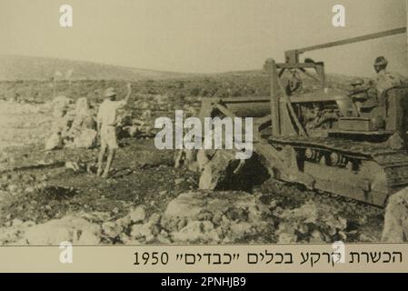 Räumung der Felder für landwirtschaftliche Arbeiten Yehi'am (Yehiam יְחִיעָם) ist ein Kibbuz im Norden Israels. Yehiam befindet sich im westlichen oberen Galiläa und wurde von einer Gruppe der sozialistischen zionistischen Hashomer Hatzair-Jugendbewegung gegründet Holocaust-Überlebende aus Ungarn und Mitglieder von Jishuv, die sich selbst Kibbutz HaSela Yehiam nannten, befinden sich neben den Ruinen der osmanischen Burg Jiddin, die auf der Kreuzritter-Burg Judin aus dem 13. Jahrhundert erbaut wurde. Am 26. November 1946 wurde Kibbutz Yehiam an der Stelle der mittelalterlichen Burg errichtet, wo zunächst nur die Männer ihren Wohnsitz in der Besetzung nahmen Stockfoto