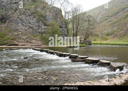 Treppensteigen ins Herz von Dovedale, Derbyshire Peak District. Stockfoto