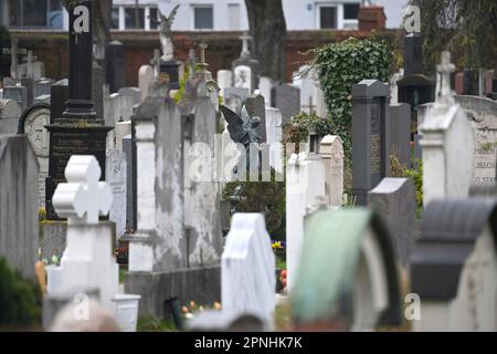 München, Deutschland. 19. April 2023. Gräber auf dem Nordfriedhof in München. ? Kredit: dpa/Alamy Live News Stockfoto