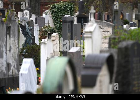 München, Deutschland. 19. April 2023. Gräber auf dem Nordfriedhof in München. ? Kredit: dpa/Alamy Live News Stockfoto