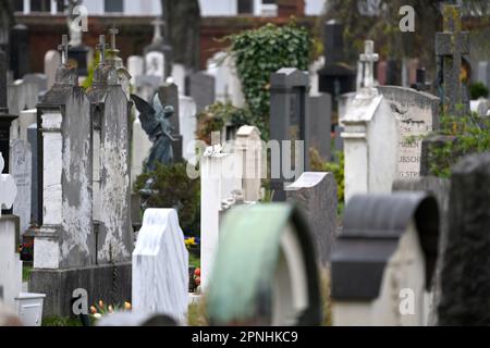 München, Deutschland. 19. April 2023. Gräber auf dem Nordfriedhof in München. ? Kredit: dpa/Alamy Live News Stockfoto