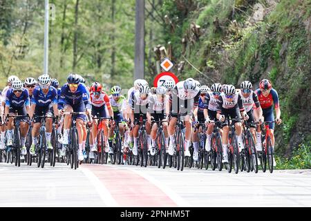 Huy, Belgien. 19. April 2023. Die Abbildung zeigt das Peloton während der 86. Ausgabe des Herrenrenrenrenrenrenrenrenrenrennen „La Fleche Wallonne“, ein eintägiges Radrennen (Waalse Pijl - Wallonischer Pfeil), 194, 2 km von Herve nach Huy, Mittwoch, 19. April 2023. BELGA FOTO DAVID PINTENS Kredit: Belga News Agency/Alamy Live News Stockfoto