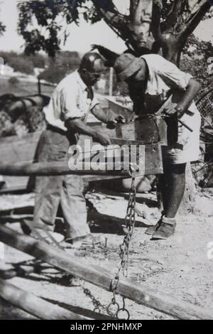 Bewässerung und Wasserversorgung Yehi'am (Yehiam יְחִיעָם) ist ein Kibbuz im Norden Israels. Yehiam befindet sich im westlichen oberen Galiläa und wurde von einer Gruppe der sozialistischen zionistischen Hashomer Hatzair-Jugendbewegung gegründet Holocaust-Überlebende aus Ungarn und Mitglieder von Jishuv, die sich selbst Kibbutz HaSela Yehiam nannten, befinden sich neben den Ruinen der osmanischen Burg Jiddin, die auf der Kreuzritter-Burg Judin aus dem 13. Jahrhundert erbaut wurde. Am 26. November 1946 wurde Kibbutz Yehiam an der Stelle der mittelalterlichen Burg errichtet, wo nur die Männer ihren Wohnsitz nahmen, zunächst innerhalb der Burg und dann hinein Stockfoto