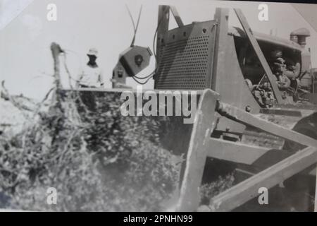 Räumung der Felder für landwirtschaftliche Arbeiten Yehi'am (Yehiam יְחִיעָם) ist ein Kibbuz im Norden Israels. Yehiam befindet sich im westlichen oberen Galiläa und wurde von einer Gruppe der sozialistischen zionistischen Hashomer Hatzair-Jugendbewegung gegründet Holocaust-Überlebende aus Ungarn und Mitglieder von Jishuv, die sich selbst Kibbutz HaSela Yehiam nannten, befinden sich neben den Ruinen der osmanischen Burg Jiddin, die auf der Kreuzritter-Burg Judin aus dem 13. Jahrhundert erbaut wurde. Am 26. November 1946 wurde Kibbutz Yehiam an der Stelle der mittelalterlichen Burg errichtet, wo zunächst nur die Männer ihren Wohnsitz in der Besetzung nahmen Stockfoto