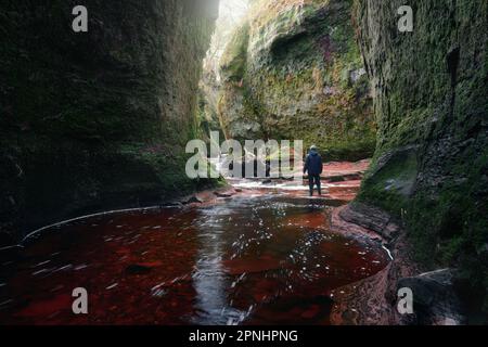 Ein Mann in einer Schlucht, bedeckt mit Moos und einem kleinen Fluss aus rotem Wasser. Ansicht von unten. Im Inneren der Devils Pulpit Gorge mit fließendem Wasser, Finnich Glen, Schottland, Großbritannien Stockfoto