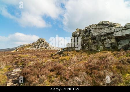 Blick auf die Felsen im Stiperstones Nature Reserve in Shropshire, Großbritannien. Ein Quarzitenkamm, der während der letzten Eiszeit vor 480 Millionen Jahren entstanden ist Stockfoto