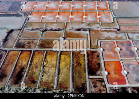 Salzpfannen in den Guérande Salt Gardens, Bretagne, Frankreich Stockfoto