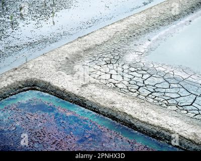 Salzpfannen in den Guérande Salt Gardens, Bretagne, Frankreich Stockfoto