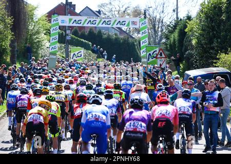 Huy, Belgien. 19. April 2023. Die Abbildung zeigt das Peloton während der 86. Ausgabe des Herrenrenrenrenrenrenrenrenrenrennen „La Fleche Wallonne“, ein eintägiges Radrennen (Waalse Pijl - Wallonischer Pfeil), 194, 2 km von Herve nach Huy, Mittwoch, 19. April 2023. BELGA FOTO DAVID PINTENS Kredit: Belga News Agency/Alamy Live News Stockfoto