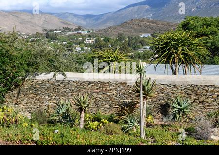 Landschaft mit Pflanzen vor einer Trockenmauer in Barrydale in Südafrika Stockfoto