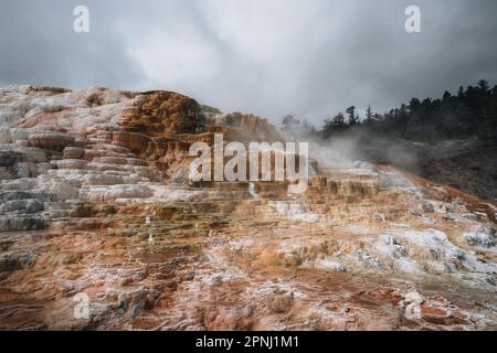 Blick von der Seite auf Canary Spring und Terrassen in der Mammoth Hot Spring Area im Yellowstone National Park, wyoming, USA. Stockfoto