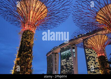 Marina Bay Garden und Marina Bay Sands, Singapur. Stockfoto