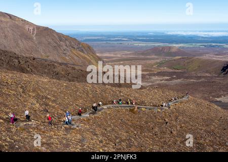 Wanderer, die beim Tongariro Alpine Crossing Walk, Tongariro National Park, North Island, Neuseeland die Devil's Staircase hinaufgehen Stockfoto