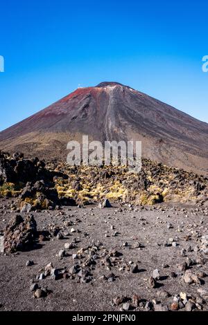 Blick auf den Mt. Ngauruhoe auf dem Tongariro Alpine Crossing Walk, Tongariro National Park, Nordinsel, Neuseeland. Stockfoto