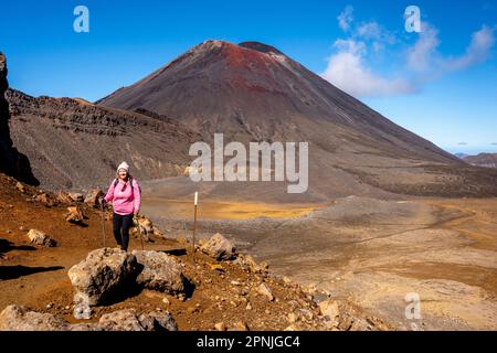 Blick auf den Mt. Ngauruhoe auf dem Tongariro Alpine Crossing Walk, Tongariro National Park, Nordinsel, Neuseeland. Stockfoto