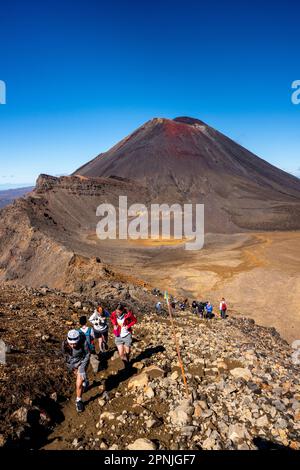 Blick auf den Mt. Ngauruhoe auf dem Tongariro Alpine Crossing Walk, Tongariro National Park, Nordinsel, Neuseeland. Stockfoto