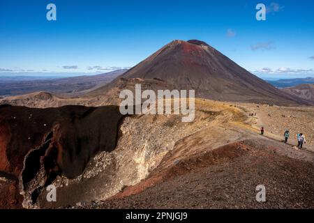 Blick auf den Mt. Ngauruhoe und den Roten Krater auf dem Tongariro Alpine Crossing Walk, Tongariro National Park, Nordinsel, Neuseeland. Stockfoto