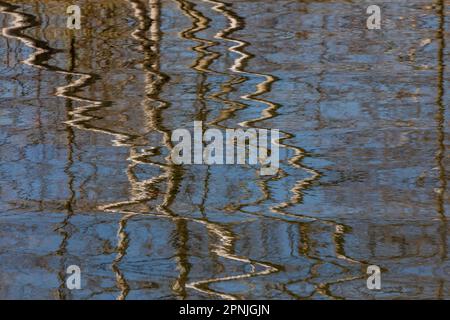 Wälder auf einem Teich in Canadian Lakes, Michigan, USA Stockfoto