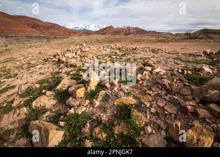 Ruinen der alten Geisterstadt Harrisburg im Süden von Utah, USA. Schneebedeckte Pine Valley Mtns im Hintergrund. Stockfoto