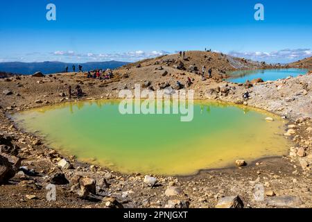 Blick auf die Emerald Lakes auf dem Tongariro Alpine Crossing Walk, Tongariro National Park, North Island, Neuseeland. Stockfoto