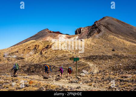 Wanderer Auf Dem Tongariro Alpine Crossing Walk, Tongariro National Park, North Island, Neuseeland. Stockfoto