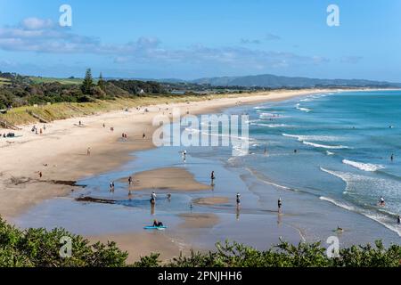 The Beach in Waipu Cove, Bream Bay, Northland, Neuseeland. Stockfoto