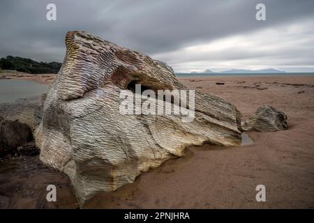 Langs Beach, Bream Bay, Northland, Neuseeland Stockfoto