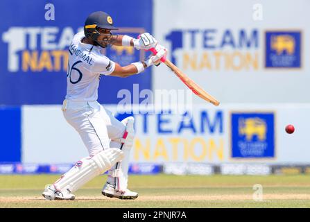 Galle, Sri Lanka. 17. April 2023 Dinesh Chandimal von Fledermäusen in Sri Lanka während des 2. Tages des 1. Kricket-Tests zwischen Sri Lanka und Irland Stockfoto