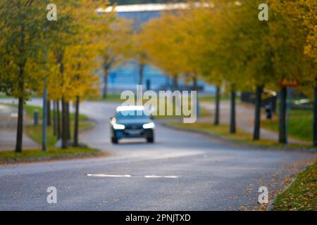 Zebra überquert auf einer schmalen Straße mit dem Auto nähert Stockfoto