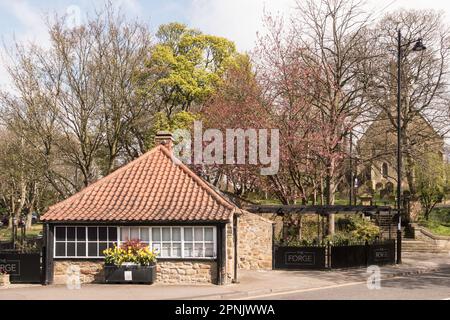 The Forge Restaurant, einst ein Schmied, im Dorf Washington, Nordostengland, Großbritannien Stockfoto