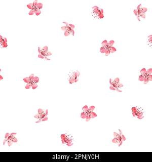 Nahtloses Muster mit Aquarellblumen Sakura, pinkfarbenem Kirschbaum, Blumen isoliert auf weißem Hintergrund. Stockfoto