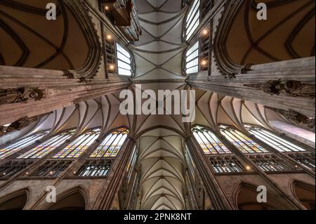 Kölner Dom-Decke direkt darunter Stockfoto