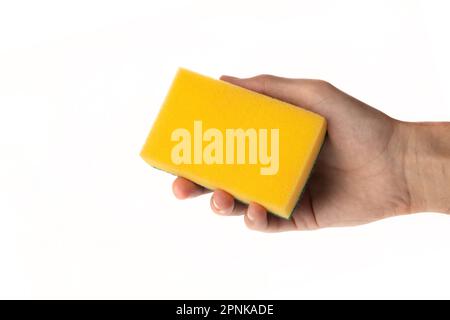 Schwamm zum Waschen und Reinigen in der männlichen Hand. Von Hand isoliert auf weiß. Eine Hand hält einen Schwamm zum Waschen und Reinigen. Stockfoto