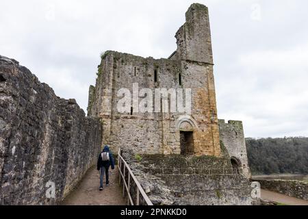 Chepstow, Großbritannien. 14. April 2023. Der große Turm von Chepstow Castle kann vom Middle Bailey aus gesehen werden. Chepstow Castle befindet sich über den Klippen am Fluss Wye und ist die älteste noch existierende poströmische Steinbefestigung in Großbritannien. Kredit: Mark Kerrison/Alamy Live News Stockfoto