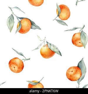 Nahtlose, wässrige Zitrusfrüchte und Blätter. Grüne Blätter und Orangenfrüchte auf weißem Hintergrund. Nahtlose Aquarelle von Mandarinen und Orangen Stockfoto