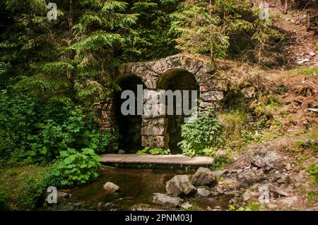 Steinbrücke am Fluss, Tannen an der Brücke Stockfoto