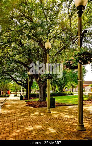 Blumen und von Bäumen gesäumte Straßen bilden den malerischen Courthouse Square, der das Baldwin County Courthouse in Bay Minette, Alabama, umgibt. Stockfoto