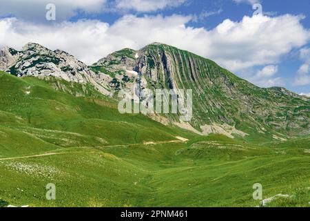 Montenegro. Durmitor-Nationalpark. Sattelpass. Alpenwiesen. Berglandschaft. Beliebter Touristenort Stockfoto