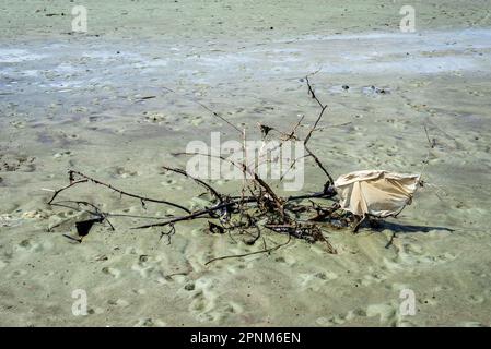 Santo Amaro, Bahia, Brasilien - 15. Mai 2022: Schmutziger Sand am Itapema-Strand an einem sonnigen Tag. Stadt Santo Amaro in Bahia. Stockfoto