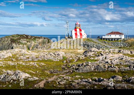 Zerklüftete Küste von Neufundland mit rot-weiß gestreiftem Leuchtturm, beliebte Touristenattraktion am Cape Bonavista Canada. Stockfoto