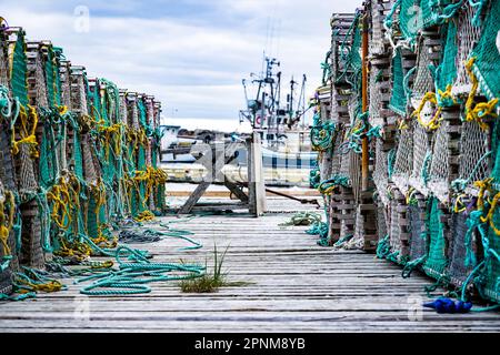 Hummerfallen aus Holz, die in Reihen auf einem alten Dock mit bunten Seilen gestapelt sind und einen Hafen mit Fischerbooten in Whiteway Newfoundland Canada überblicken Stockfoto