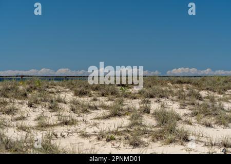 Grasbedeckte Sanddünen treffen den Himmel am Kirra Beach, Queensland, Australien Stockfoto