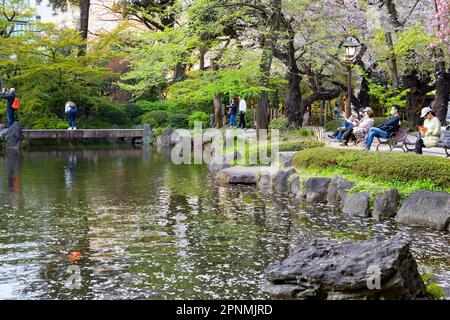 Tokio 2023. April, Shinchi Gärten der Heilige Teich Garten auf dem Gelände des Yasukini-Schreins in Chiyoda City, Tokio, Japan Stockfoto