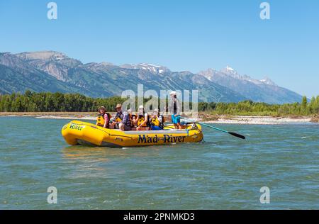 Touristen in einem starren Schlauchboot auf dem Snake River bei einer Rafting-Tour im Grand Teton Mountain Range, Wyoming, USA. Stockfoto