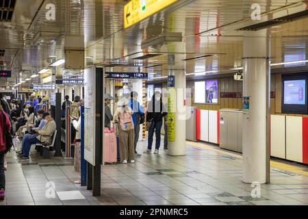 Tokyo Metro April 2023, japanische Pendler auf dem Tokyo U-Bahnsteig warten auf die nächste U-Bahn, Japan, Asien Stockfoto