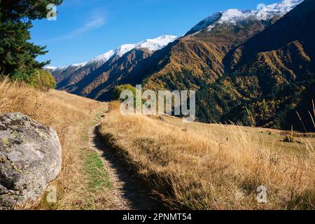 Eine unbefestigte Straße führt durch die Herbstberge Georgiens. Im Vordergrund haben wir großes gelbes Gras und einen Stein. Im Hintergrund hoch, Snow-capp Stockfoto